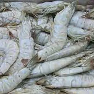 대하